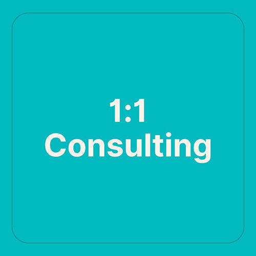 1:1 Strategy Consulting